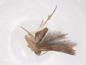  ( - CBG-B04386-B05)  @11 [ ] CreativeCommons - Attribution Share - Alike (2025) Centre for Biodiversity Genomics Centre for Biodiversity Genomics