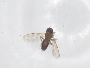  ( - CBG-B04388-E07)  @11 [ ] CreativeCommons - Attribution Share - Alike (2025) Centre for Biodiversity Genomics Centre for Biodiversity Genomics