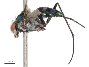  ( - CBG-B04681-B11)  @11 [ ] CreativeCommons - Attribution Share - Alike (2025) CBG Photography Group Centre for Biodiversity Genomics