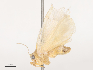  ( - CBG-B04791-A04)  @11 [ ] CreativeCommons - Attribution Share - Alike (2025) CBG Photography Group Centre for Biodiversity Genomics