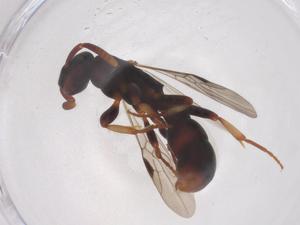  ( - CBG-B22060-G05)  @11 [ ] CreativeCommons - Attribution Share - Alike (2025) Centre for Biodiversity Genomics Centre for Biodiversity Genomics