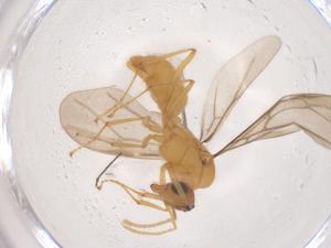  ( - CBG-B22085-G02)  @11 [ ] CreativeCommons - Attribution Share - Alike (2025) Centre for Biodiversity Genomics Centre for Biodiversity Genomics