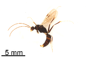  ( - CCDB21350_G11)  @13 [ ] CreativeCommons - Attribution (2014) Unspecified ECOSUR