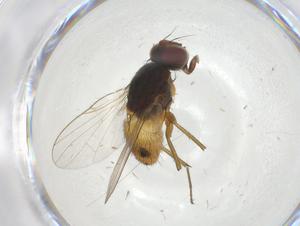  ( - CBG-A11635-D04)  @11 [ ] CreativeCommons - Attribution Share - Alike (2023) Centre for Biodiversity Genomics Centre for Biodiversity Genomics