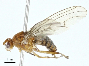 ( - BIOUG97777-H10)  @11 [ ] CreativeCommons - Attribution (2023) CBG Photography Group Centre for Biodiversity Genomics