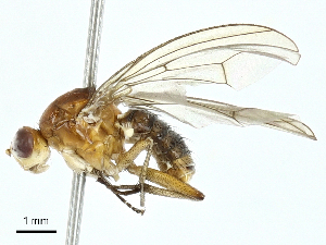  ( - BIOUG97778-A05)  @11 [ ] CreativeCommons - Attribution (2023) CBG Photography Group Centre for Biodiversity Genomics
