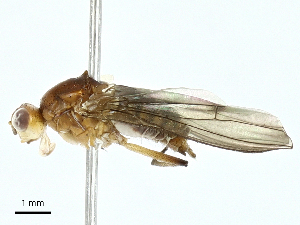  ( - BIOUG97778-A06)  @11 [ ] CreativeCommons - Attribution (2023) CBG Photography Group Centre for Biodiversity Genomics