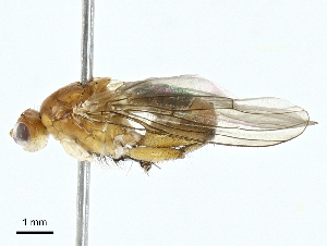  ( - BIOUG97778-C04)  @11 [ ] CreativeCommons - Attribution (2023) CBG Photography Group Centre for Biodiversity Genomics