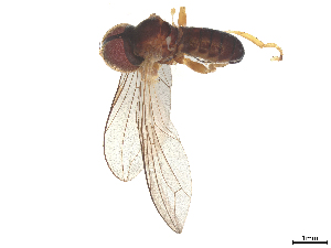  ( - BIOUG24177-E06)  @11 [ ] CreativeCommons - Attribution (2025) CBG Photography Group Centre for Biodiversity Genomics