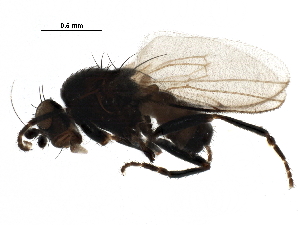  ( - BIOUG22672-C02)  @13 [ ] CreativeCommons - Attribution (2016) CBG Photography Group Centre for Biodiversity Genomics