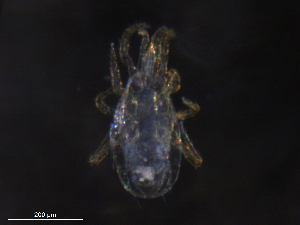  ( - BIOUG25059-G03)  @11 [ ] CreativeCommons - Attribution (2019) CBG Photography Group Centre for Biodiversity Genomics