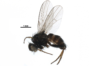  ( - BIOUG22283-E10)  @14 [ ] CreativeCommons - Attribution (2016) CBG Photography Group Centre for Biodiversity Genomics