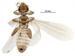  ( - BIOUG23220-E12)  @13 [ ] CreativeCommons - Attribution (2016) CBG Photography Group Centre for Biodiversity Genomics