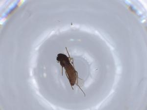  ( - BIOUG64767-E03)  @11 [ ] CreativeCommons - Attribution (2021) Centre for Biodiversity Genomics Centre for Biodiversity Genomics