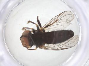  ( - BIOUG25810-A02)  @11 [ ] CreativeCommons - Attribution Share - Alike (2025) Centre for Biodiversity Genomics Centre for Biodiversity Genomics