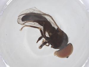  ( - BIOUG26012-B08)  @11 [ ] CreativeCommons - Attribution Share - Alike (2025) Centre for Biodiversity Genomics Centre for Biodiversity Genomics