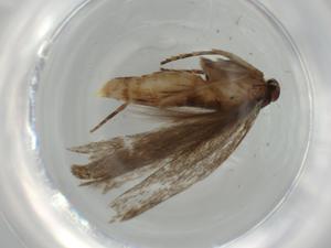  ( - BIOUG65613-A01)  @11 [ ] CreativeCommons - Attribution (2021) Centre for Biodiversity Genomics Centre for Biodiversity Genomics