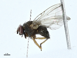  ( - BIOUG98656-C10)  @11 [ ] CreativeCommons - Attribution (2023) CBG Photography Group Centre for Biodiversity Genomics