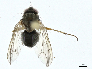  ( - BIOUG99542-D09)  @11 [ ] CreativeCommons - Attribution (2023) CBG Photography Group Centre for Biodiversity Genomics