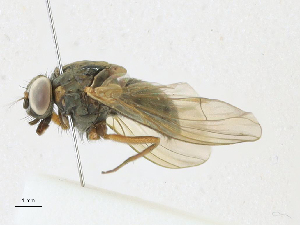  ( - CBG-A21689-C08)  @11 [ ] CreativeCommons - Attribution Share-Alike (2023) CBG Photography Group Centre for Biodiversity Genomics