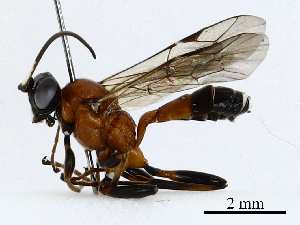  ( - CBG-A02875-E03)  @11 [ ] CreativeCommons - Attribution (2023) CBG Photography Group Centre for Biodiversity Genomics