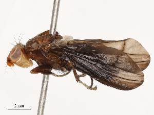  ( - CBG-B03944-F09)  @11 [ ] CreativeCommons - Attribution Share - Alike (2025) CBG Photography Group Centre for Biodiversity Genomics