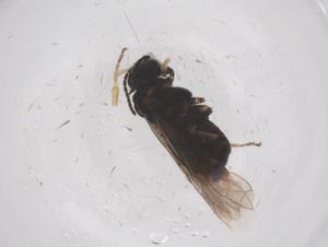  ( - CBG-B04057-D04)  @11 [ ] CreativeCommons - Attribution Share - Alike (2025) Centre for Biodiversity Genomics Centre for Biodiversity Genomics