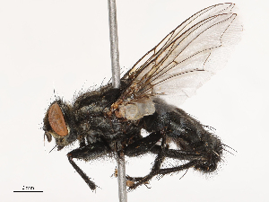  ( - CBG-B04127-C09)  @11 [ ] CreativeCommons - Attribution Share - Alike (2025) CBG Photography Group Centre for Biodiversity Genomics