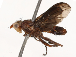  ( - CBG-B04144-C05)  @11 [ ] CreativeCommons - Attribution Share - Alike (2025) CBG Photography Group Centre for Biodiversity Genomics