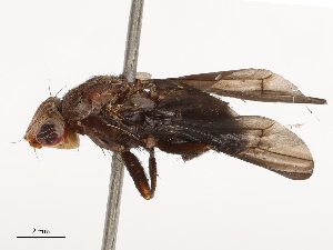  ( - CBG-B04144-E07)  @11 [ ] CreativeCommons - Attribution Share - Alike (2025) CBG Photography Group Centre for Biodiversity Genomics