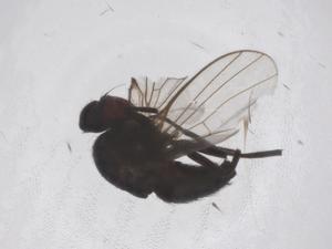  ( - CBG-B04148-A12)  @11 [ ] CreativeCommons - Attribution Share - Alike (2025) Centre for Biodiversity Genomics Centre for Biodiversity Genomics