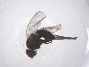  ( - CBG-B04148-F01)  @11 [ ] CreativeCommons - Attribution Share - Alike (2025) Centre for Biodiversity Genomics Centre for Biodiversity Genomics