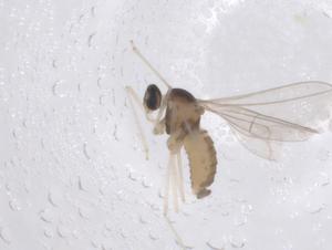  ( - CBG-B04157-F09)  @11 [ ] CreativeCommons - Attribution Share - Alike (2025) Centre for Biodiversity Genomics Centre for Biodiversity Genomics