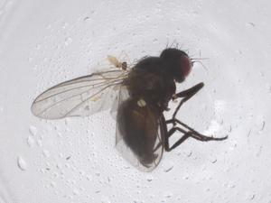  ( - CBG-B05021-G12)  @11 [ ] CreativeCommons - Attribution Share - Alike (2025) Centre for Biodiversity Genomics Centre for Biodiversity Genomics