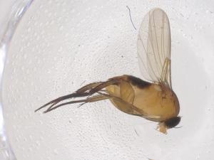  ( - CBG-B20391-G03)  @11 [ ] CreativeCommons - Attribution Share - Alike (2025) Centre for Biodiversity Genomics Centre for Biodiversity Genomics