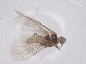  ( - CBG-B20748-C03)  @11 [ ] CreativeCommons - Attribution Share - Alike (2025) Centre for Biodiversity Genomics Centre for Biodiversity Genomics