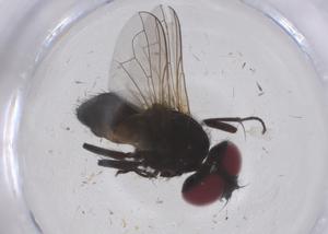  ( - CBG-B20941-E04)  @11 [ ] CreativeCommons - Attribution Share - Alike (2025) Centre for Biodiversity Genomics Centre for Biodiversity Genomics