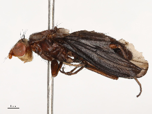  ( - CBG-B21227-A10)  @11 [ ] CreativeCommons - Attribution Share - Alike (2025) CBG Photography Group Centre for Biodiversity Genomics