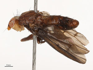  ( - CBG-B21227-D10)  @11 [ ] CreativeCommons - Attribution Share - Alike (2025) CBG Photography Group Centre for Biodiversity Genomics