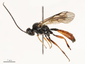  ( - CBG-B21227-E07)  @11 [ ] CreativeCommons - Attribution Share - Alike (2025) CBG Photography Group Centre for Biodiversity Genomics