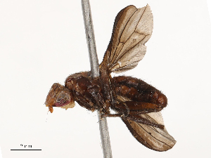  ( - CBG-B21227-F04)  @11 [ ] CreativeCommons - Attribution Share - Alike (2025) CBG Photography Group Centre for Biodiversity Genomics