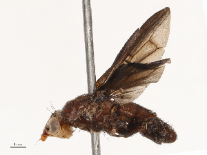  ( - CBG-B21227-H08)  @11 [ ] CreativeCommons - Attribution Share - Alike (2025) CBG Photography Group Centre for Biodiversity Genomics