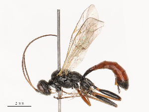  ( - CBG-B21230-E03)  @11 [ ] CreativeCommons - Attribution Share - Alike (2025) CBG Photography Group Centre for Biodiversity Genomics