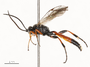  ( - CBG-B21230-F02)  @11 [ ] CreativeCommons - Attribution Share - Alike (2025) CBG Photography Group Centre for Biodiversity Genomics