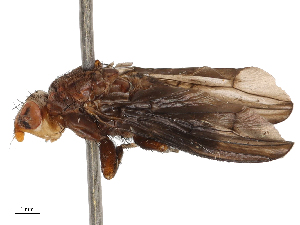  ( - CBG-B21234-D04)  @11 [ ] CreativeCommons - Attribution Share - Alike (2025) CBG Photography Group Centre for Biodiversity Genomics