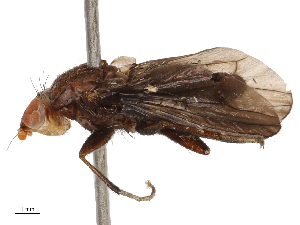  ( - CBG-B21234-D05)  @11 [ ] CreativeCommons - Attribution Share - Alike (2025) CBG Photography Group Centre for Biodiversity Genomics