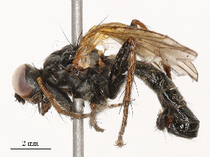  ( - CBG-B21235-H05)  @11 [ ] CreativeCommons - Attribution Share - Alike (2025) CBG Photography Group Centre for Biodiversity Genomics