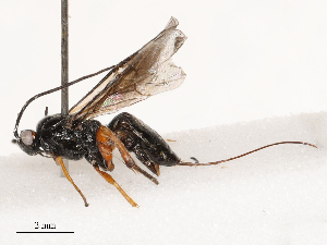  ( - CBG-B21236-E07)  @11 [ ] CreativeCommons - Attribution Share - Alike (2025) CBG Photography Group Centre for Biodiversity Genomics