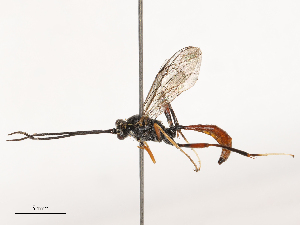  ( - CBG-B21241-D04)  @11 [ ] CreativeCommons - Attribution Share - Alike (2025) CBG Photography Group Centre for Biodiversity Genomics