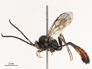  ( - CBG-B21241-H03)  @11 [ ] CreativeCommons - Attribution Share - Alike (2025) CBG Photography Group Centre for Biodiversity Genomics